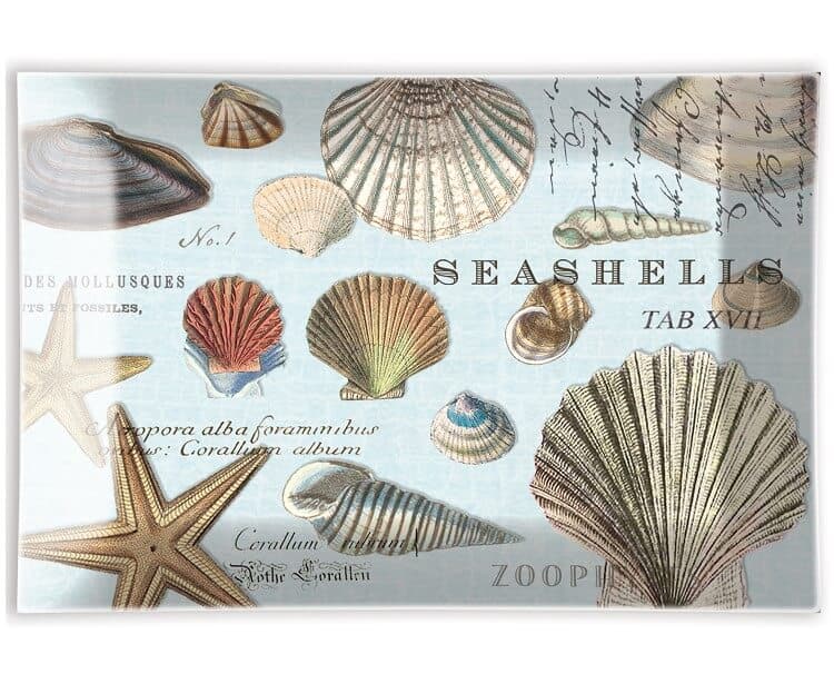 Seifenschale Seashells