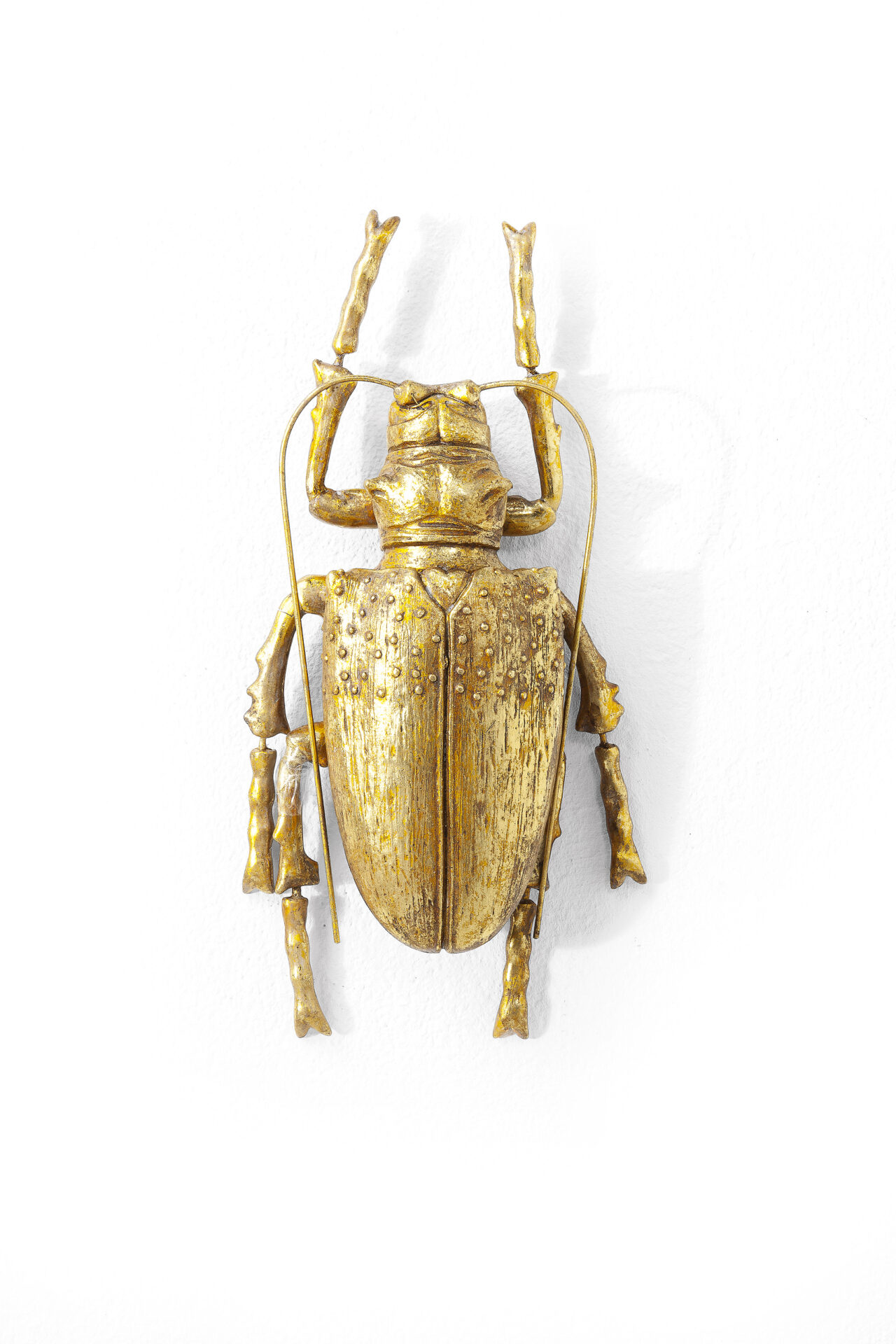 Wandschmuck Käfer gold von KARE