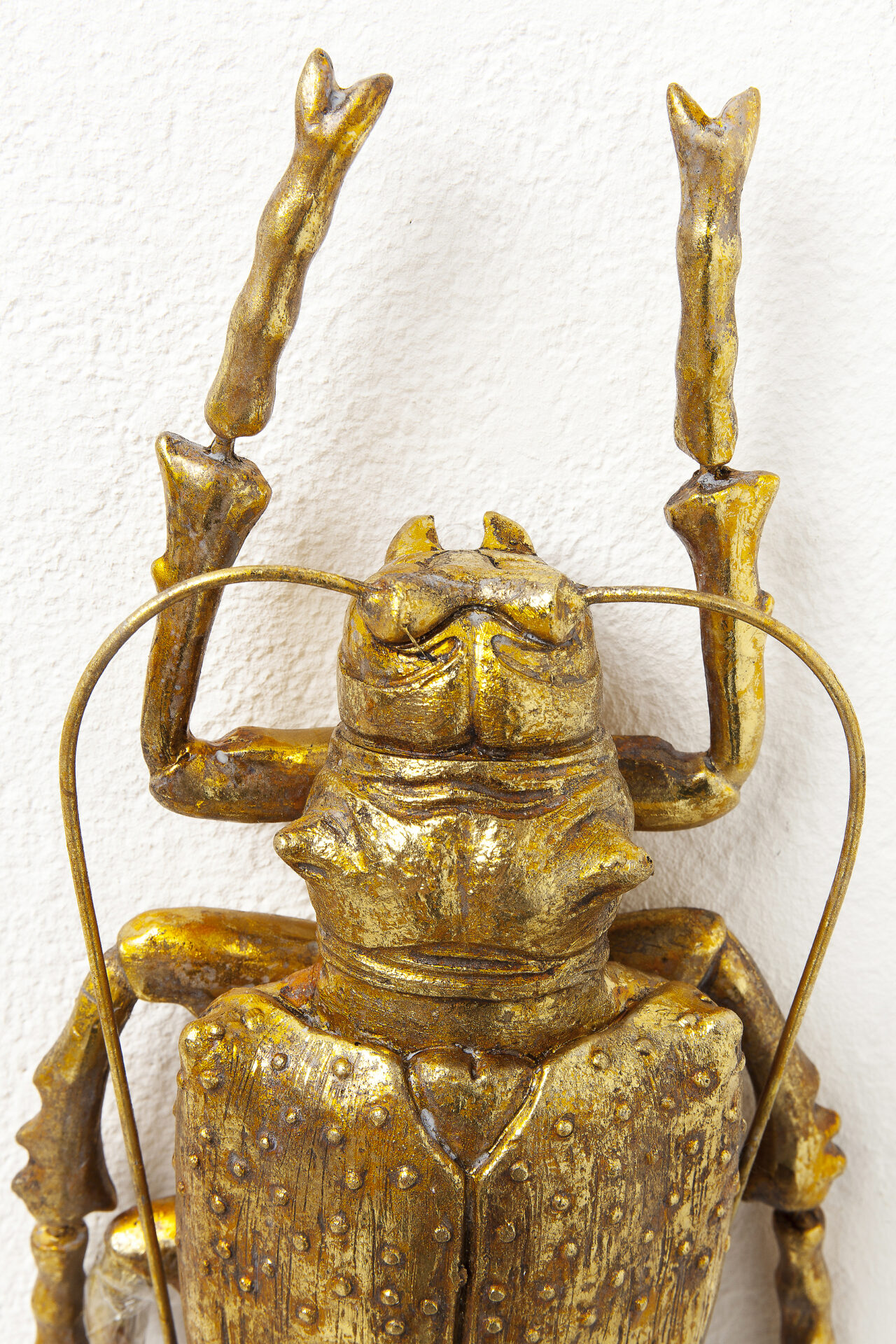 Wandschmuck Käfer gold von KARE