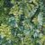 Mur vegetal | Stoffe von Pierre Frey