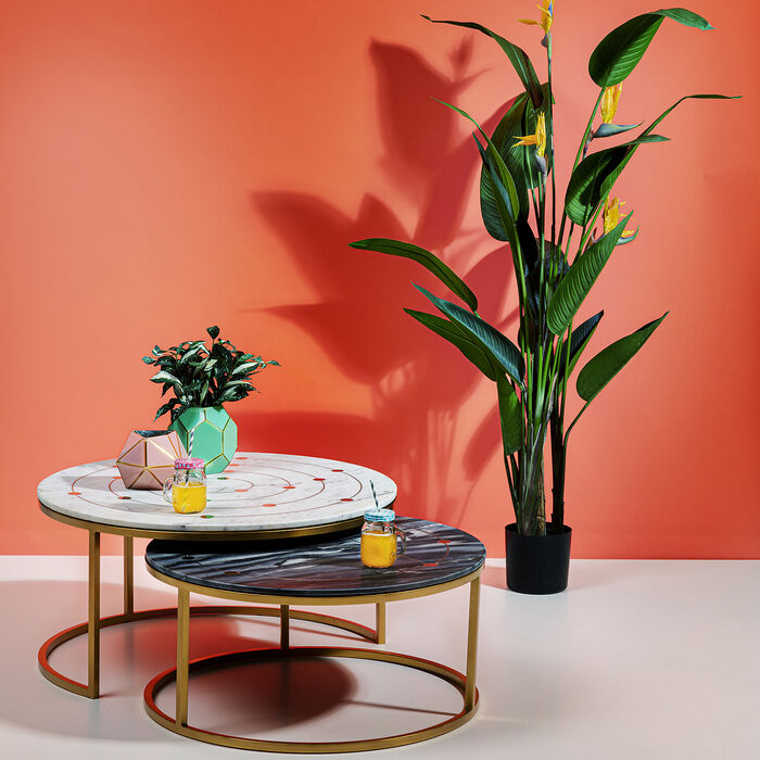 Freudenreich Interior Design | Deko Pflanze Paradise Flowers