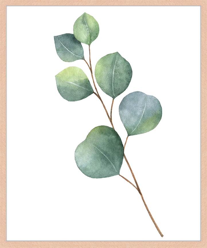 Freudenreich Interior Design | Digitaldruck Eucalyptus