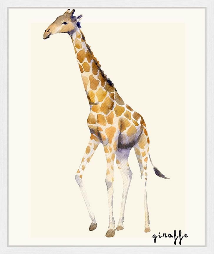 Freudenreich Interior Design | Giraffe