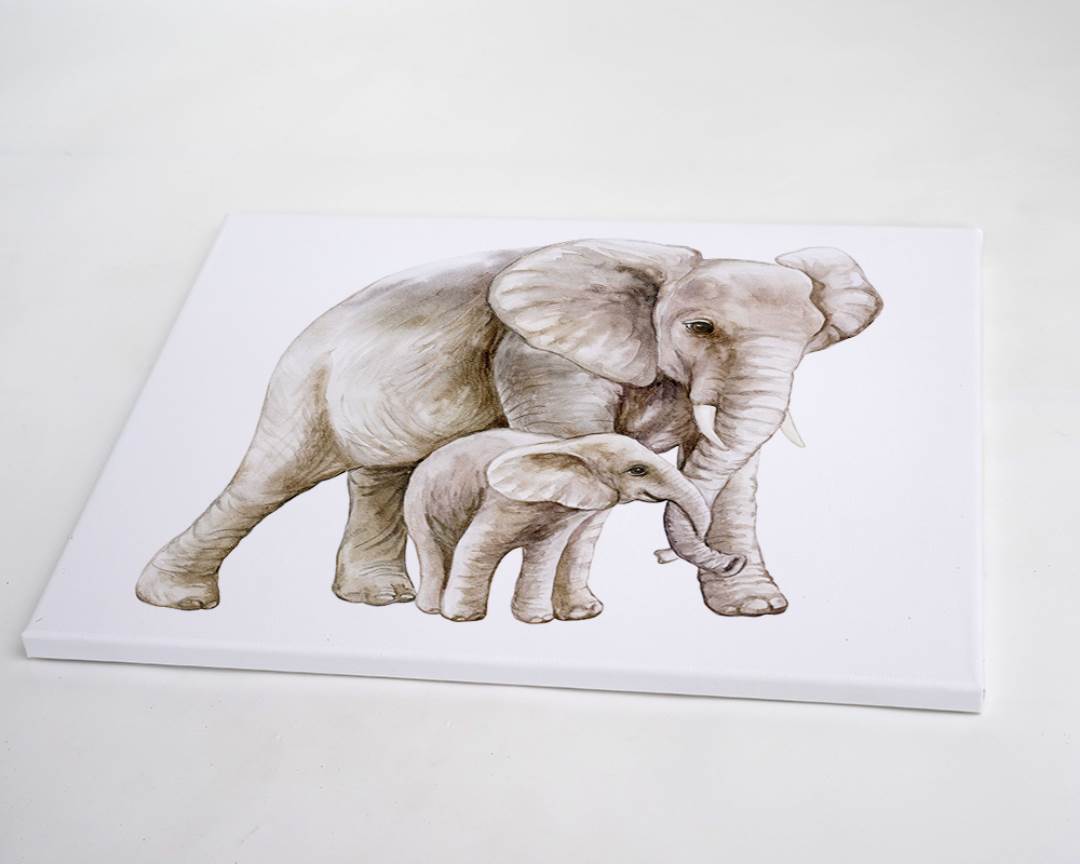 Freudenreich Interior Design | African Elephant Family