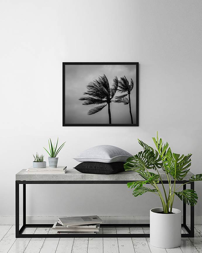Freudenreich Interior Design | Coconut Palm Trees