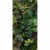 Fliese Paper41 Pro Jane C