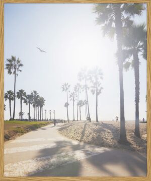 Freudenreich Interior Design | Digitaldruck Venice Beach