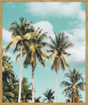 Freudenreich Interior Design | Digitaldruck Tropical Palm