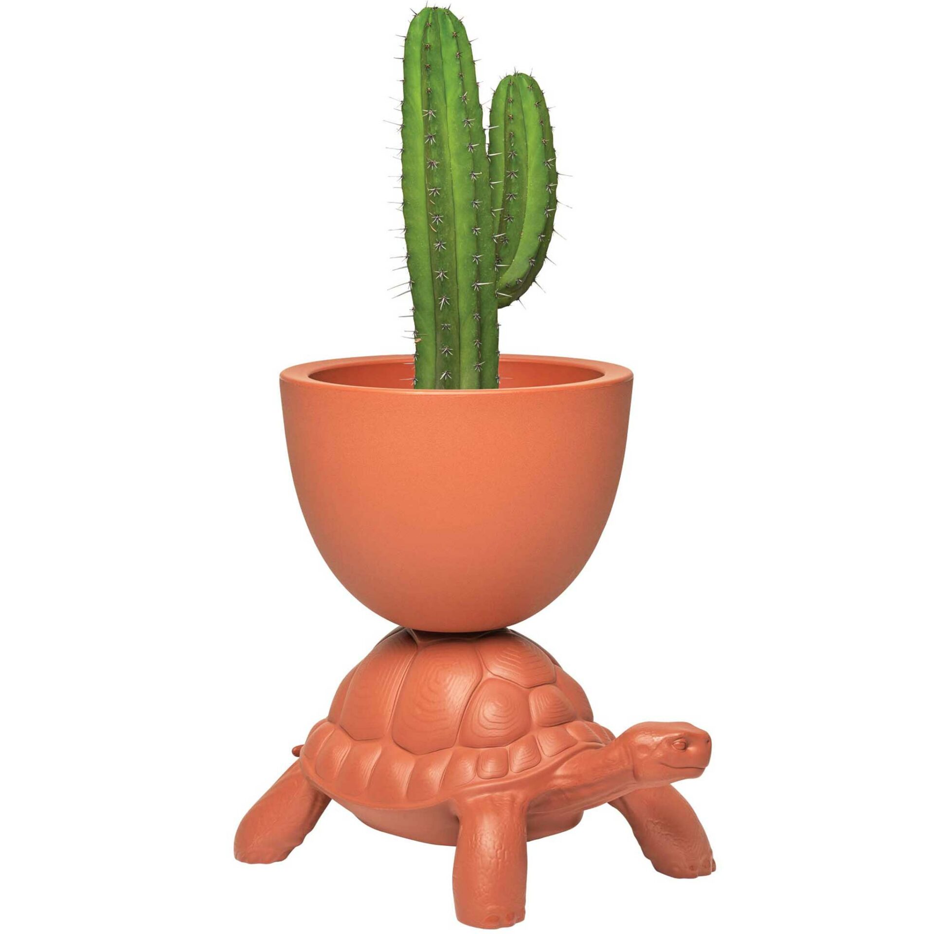 Freudenreich Interior Design | Turtle Carry Planter and Champagne Cooler terracotta