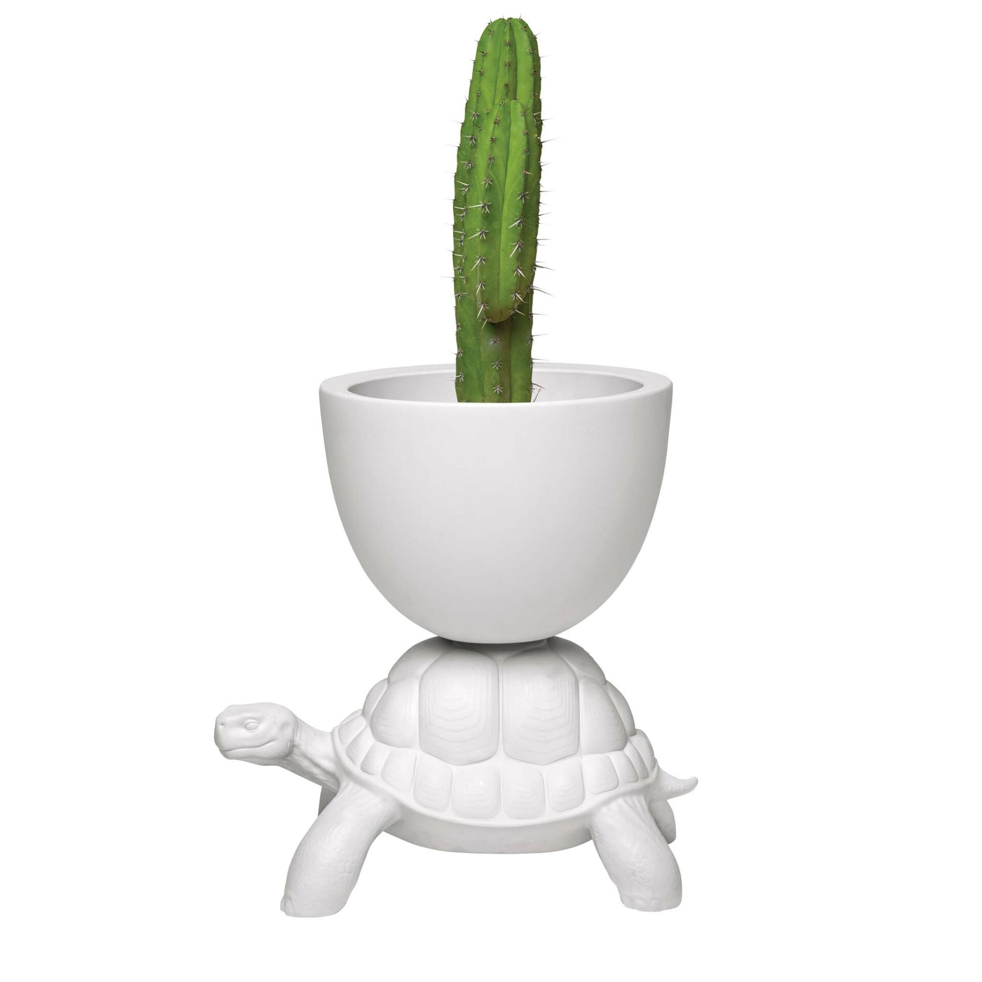 Freudenreich Interior Design | Turtle Carry Planter and Champagne Cooler white