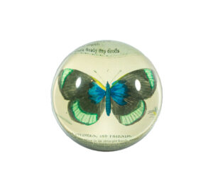 Freudenreich Interior Design | John Derian Paperweight Schmetterling